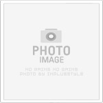 DG娛樂城實測心得｜娛樂城1000送1000搭配線上百家樂推薦玩法全攻略